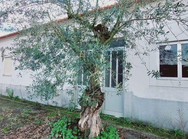 Leiria, Leiria District