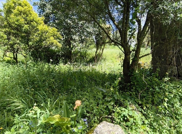 Vila Verde, Braga