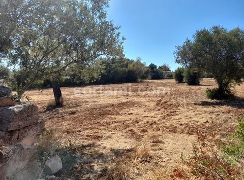 Loule, Faro
