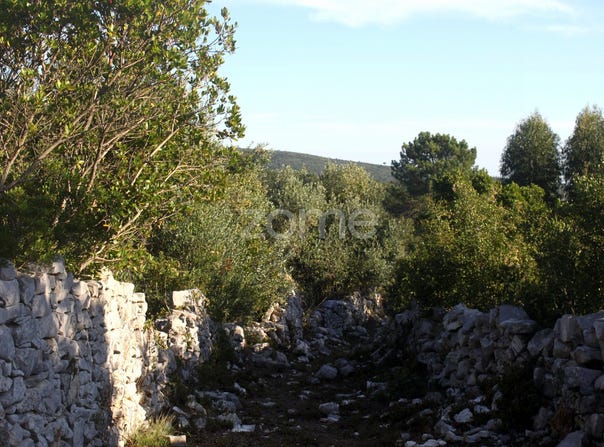 Porto de Mós, Leiria District