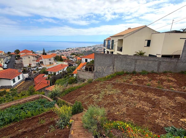 Rua Professor Virgílio Pereira, Funchal, Portugal, Ilha da Madeira, Madeira 9050-045