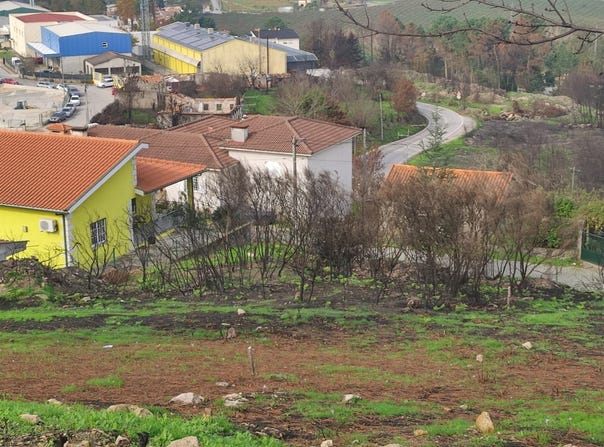 Baião, Porto District
