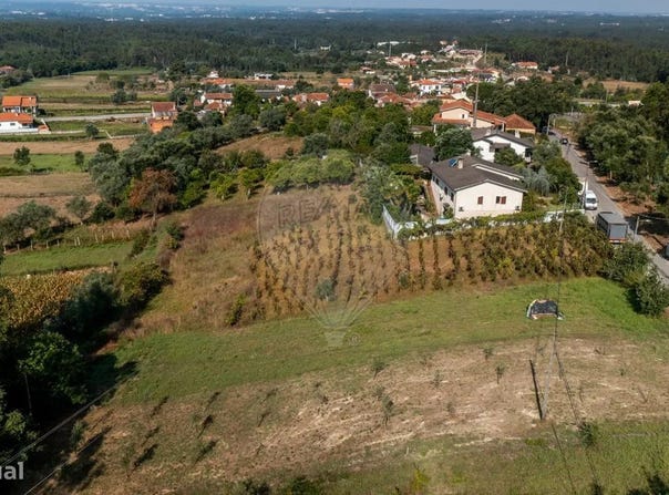 Aguada de Cima, Aveiro District