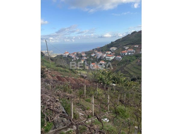 Câmara De Lobos, Madeira 9300