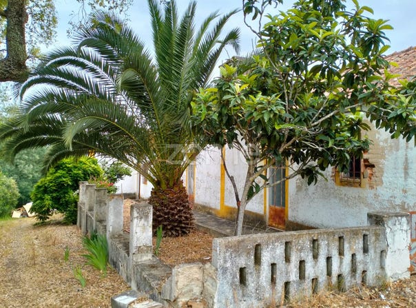 Abrantes, Santarém District