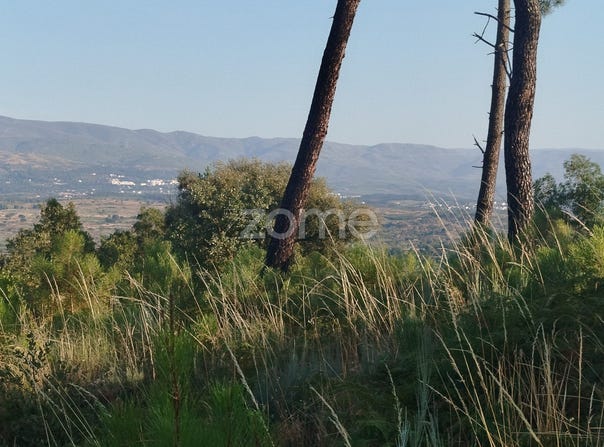 Mangualde, Viseu District