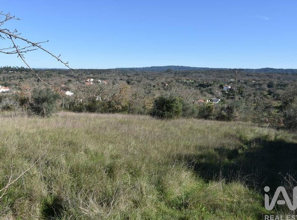 Santarém, Santarém District