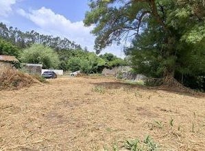Santarém, Santarém 2005-111