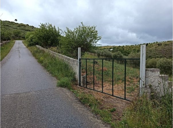 Vila Nova de Foz Côa, Guarda District