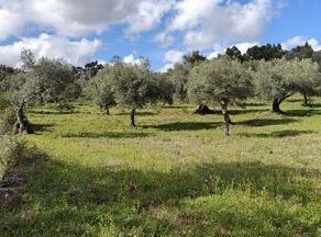 Penamacor, Castelo Branco 6090-229