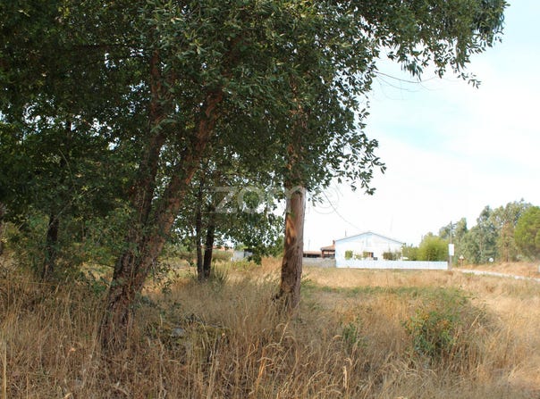Seia, Guarda District