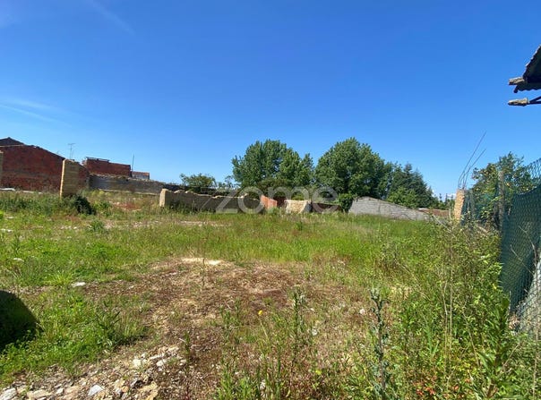 Cantanhede, Coimbra District