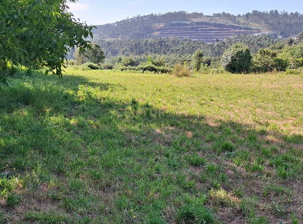 Monte Córdova, Porto District
