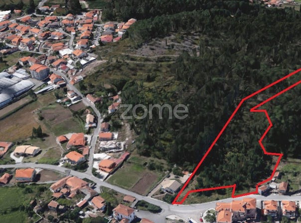 Oliveira de Azeméis, Aveiro District