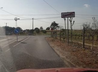 Palmela, Setúbal 2965-211