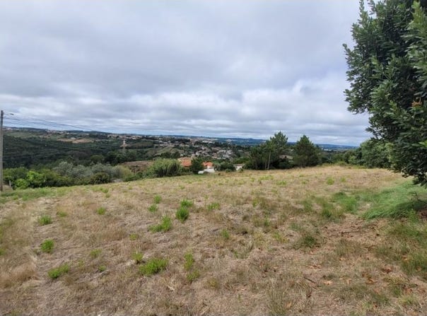 Vidais, Leiria 2500