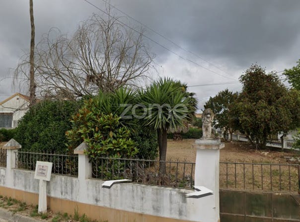 Torres Novas, Santarém District