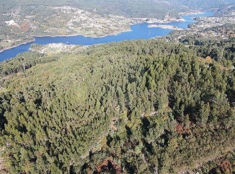 Ribeira De Pena, Vila Real