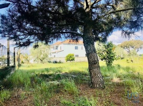 Palmela, Setúbal 2950-064
