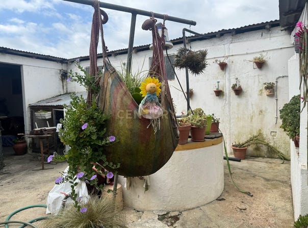 Landeira, Setubal