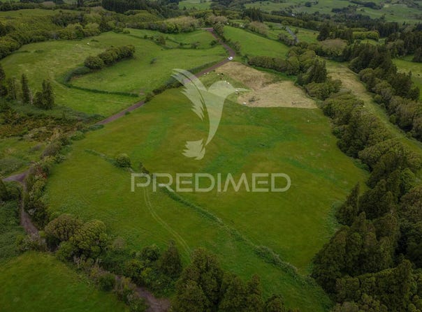 Cedros, Horta, Azores 9900