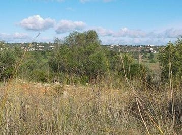 SILVES, Silves, Faro