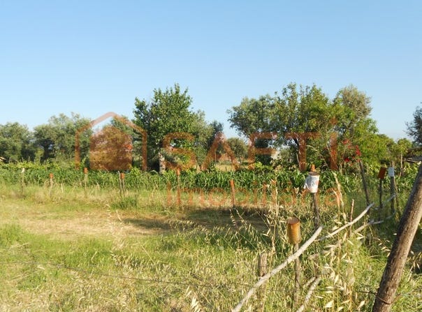 Canas de Senhorim, Viseu District