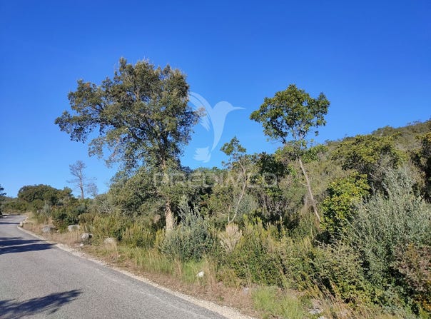Malhou, Louriceira e Espinheiro, Alcanena, Santarém District 2380