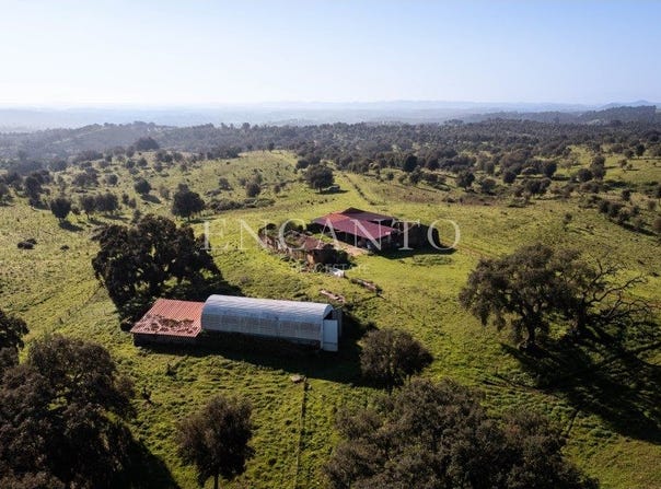 São Luís, Beja 7630