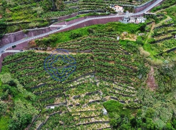 Madalena Do Mar, Madeira 9360