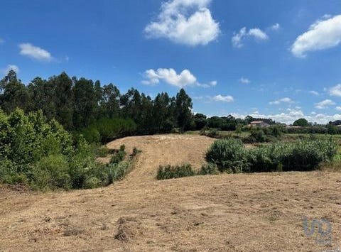 Leiria, Leiria 2425-870