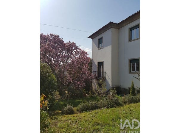 Vila Real, Vila Real District