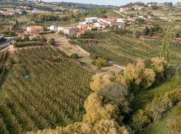 Vimeiro, Leiria District