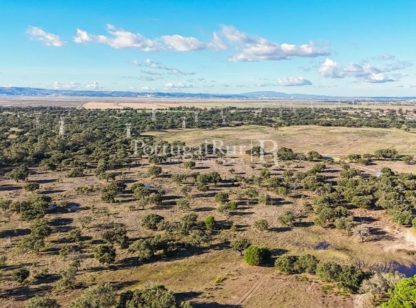 Samora Correia, Santarém 2135