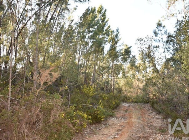Santarém, Santarém District