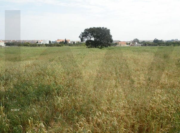 ALCOCHETE, Setubal