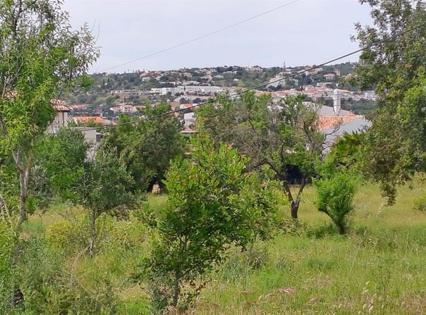 Boliqueime, Algarve 8100