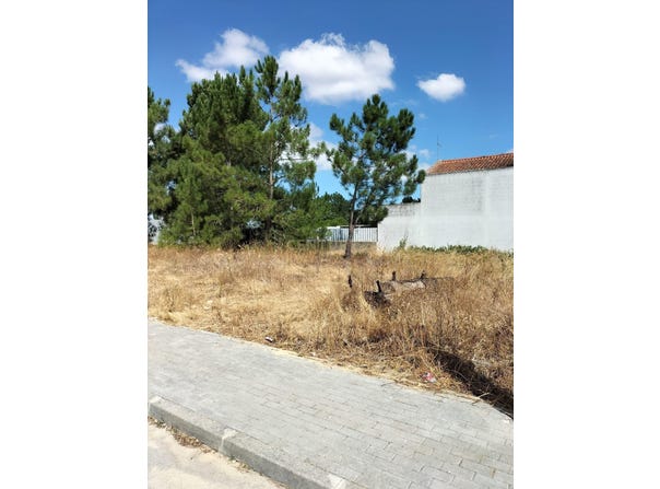 Quinta do Anjo, Setubal