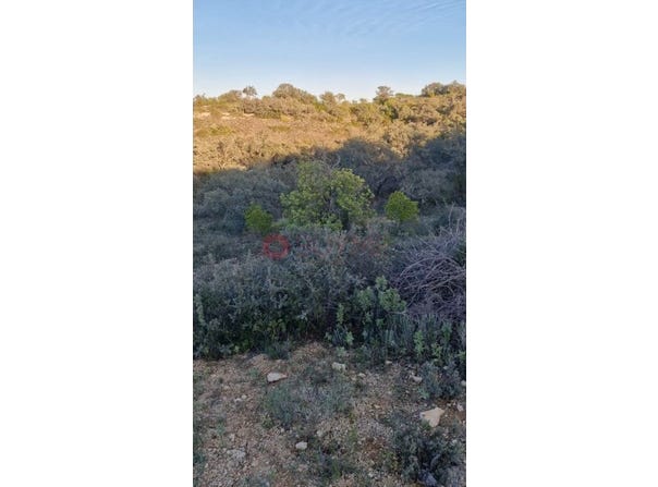 São Clemente, Algarve