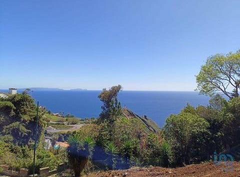 Santa Cruz, Ilha da Madeira 9125-067