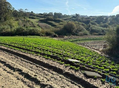 Peniche, Leiria 2525-021