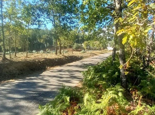Leiria, Leiria District