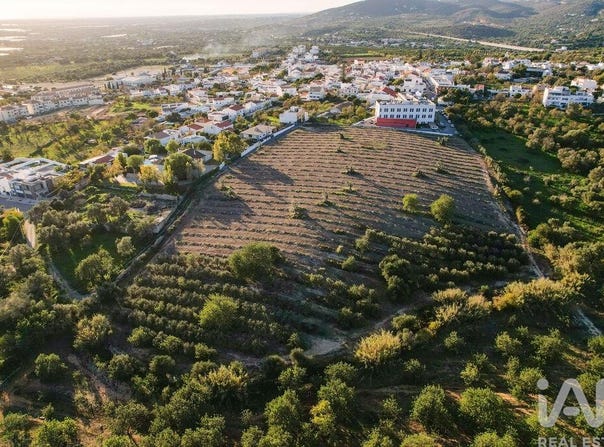 Faro, Algarve