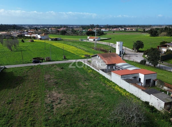 Vagos, Aveiro District