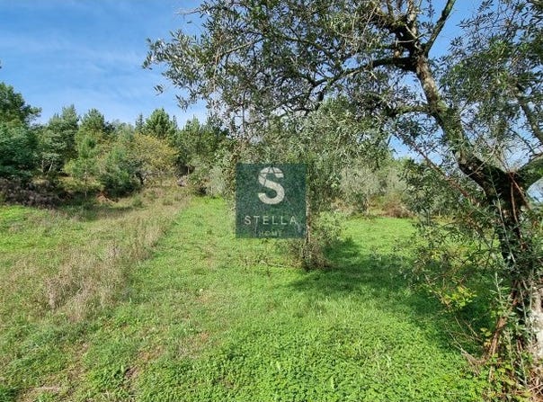 Torres do Mondego, Coimbra District