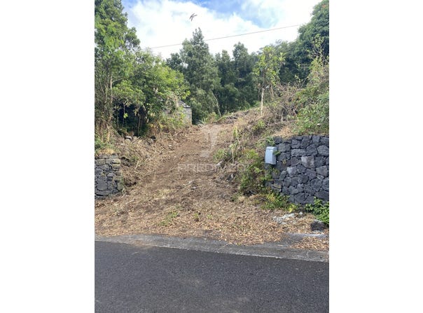 Manadas (Santa Bárbara), Velas, Azores 9800