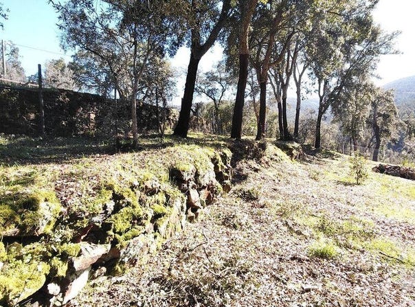 Castelo Branco, Castelo Branco District