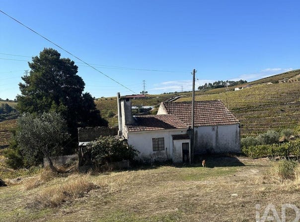 Vila Real, Vila Real District