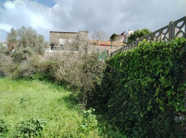 Maiorga, Leiria District