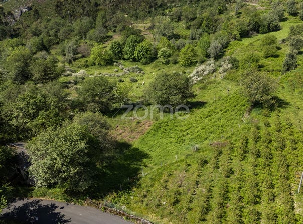 Amares, Braga